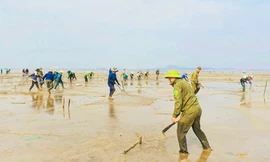 Hàng trăm cán bộ lội nước 'dẹp loạn' nuôi trồng thủy sản trái phép