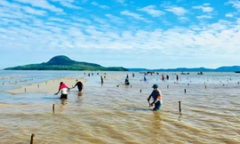 Quảng Ninh chấn chỉnh tình trạng nuôi trồng thủy sản 