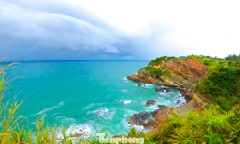 Diện mạo 3 khu bảo tồn biển đặc biệt quan trọng của Quảng Ninh