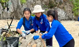 Tuổi trẻ Quảng Ninh biến bảo vệ môi trường thành lối sống đẹp