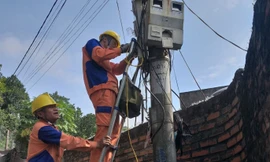 Hóa đơn tiền điện 3 tháng giống hệt nhau vì... ngẫu nhiên 