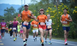 Hơn 3.000 vận động viên 'Chạm vùng di sản'