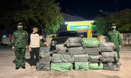 Mượn ô tô của bố vợ đi chở thuê gần 400kg lòng lợn thối 