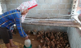 Lấu Gìn Tồng, từ gian khó đến điểm sáng giảm nghèo