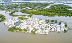 Có một ốc đảo giữa đầm 