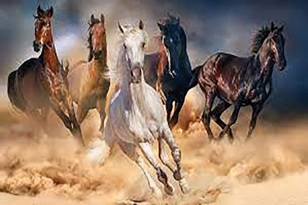 Tử vi 12 con giáp chủ nhật 23/5: Ngựa gặp quý nhân, Chó rắc rối tiền bạc 