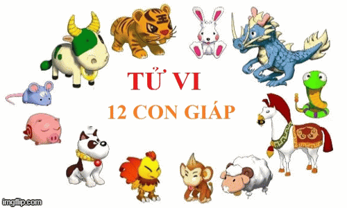 Tử vi 12 con giáp chủ nhật 28/6: Mão gặp cơ hội, Ngọ hoá giải xung khắc