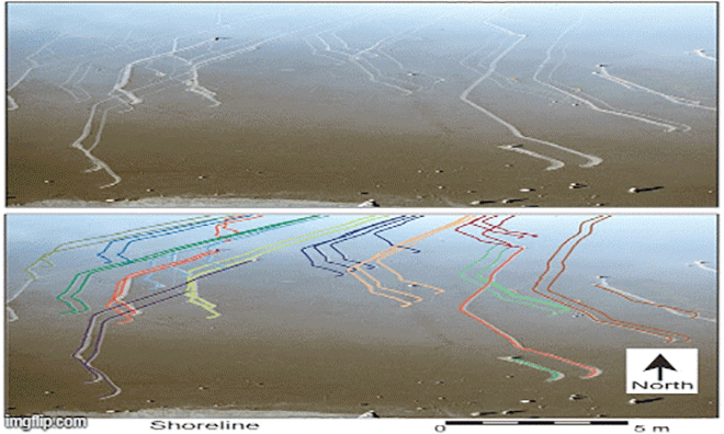 1001 thắc mắc: Thung lũng Chết nằm ở đâu, có điều gì lạ kỳ nhất thế giới?