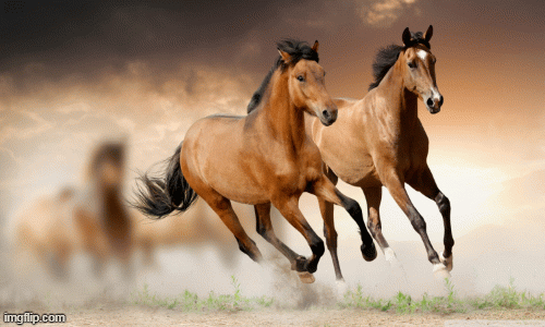 Tử vi 12 con giáp chủ nhật 20/9: Ngọ đào hoa, Thân nóng giận vô cớ