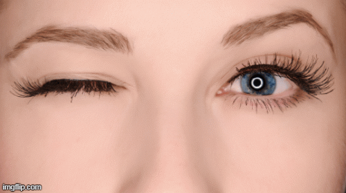 1001 thắc mắc: Vì sao con người hay chớp mắt, bộ não đánh lừa chúng ta thế nào?