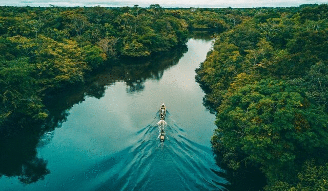 1001 thắc mắc: Sông Amazon dài thế, sao không ai dám bắc cầu qua nó? 