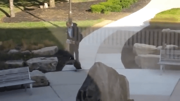 1001 thắc mắc: Ngỗng béo thế nào, vì sao có thể thay chó canh nhà? 