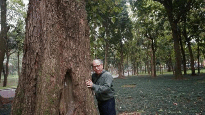 1001 thắc mắc: Vì sao thân cây hình trụ tròn?