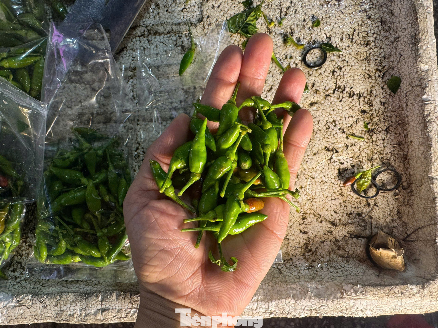 Ớt ra vỉa hè, giá cao ngất