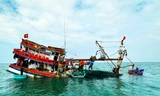 Cứu 13 ngư dân bị chìm tàu trên biển Cà Mau