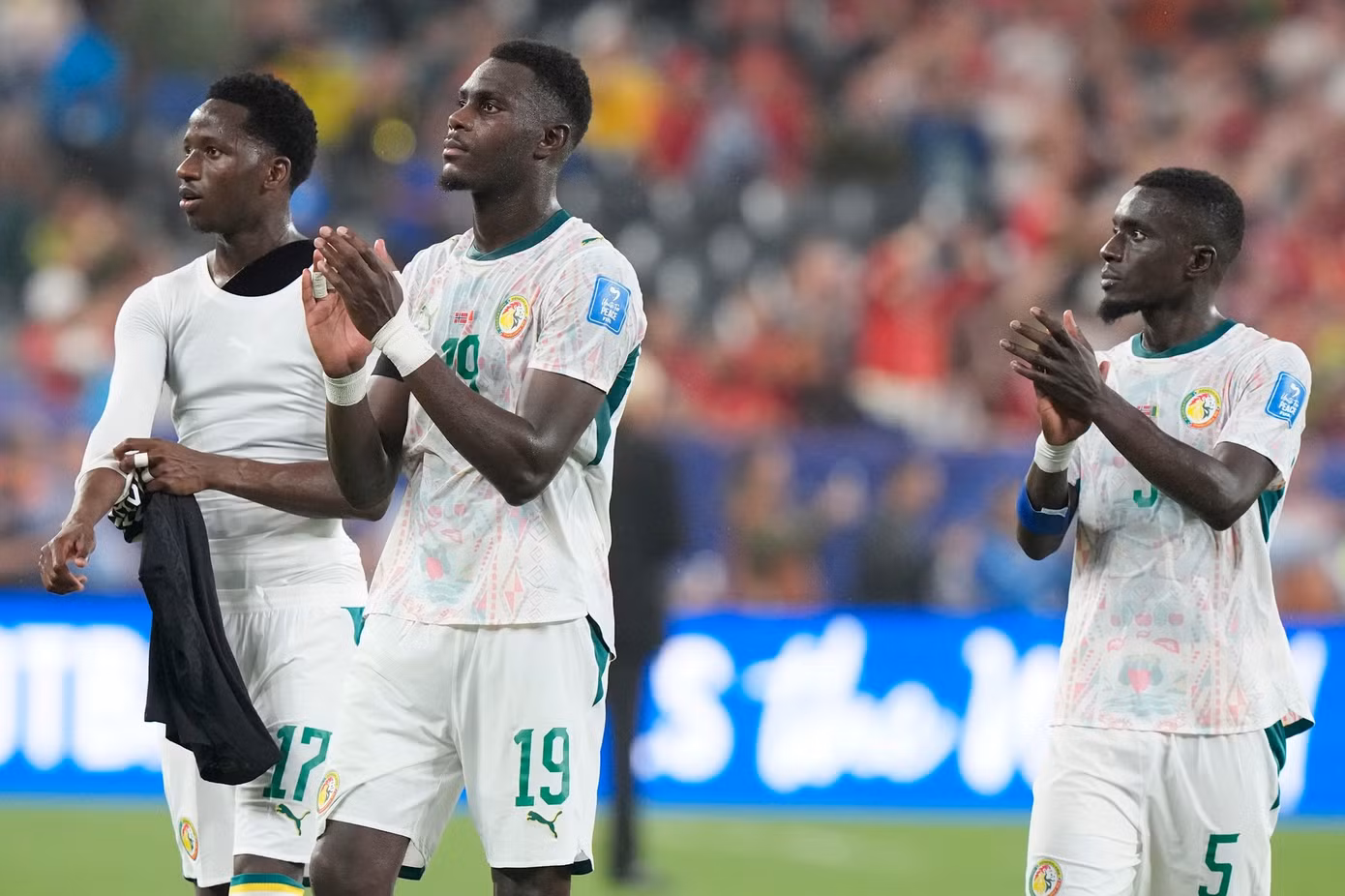 senegal-be-bo-hau-truong-anh-1.jpg