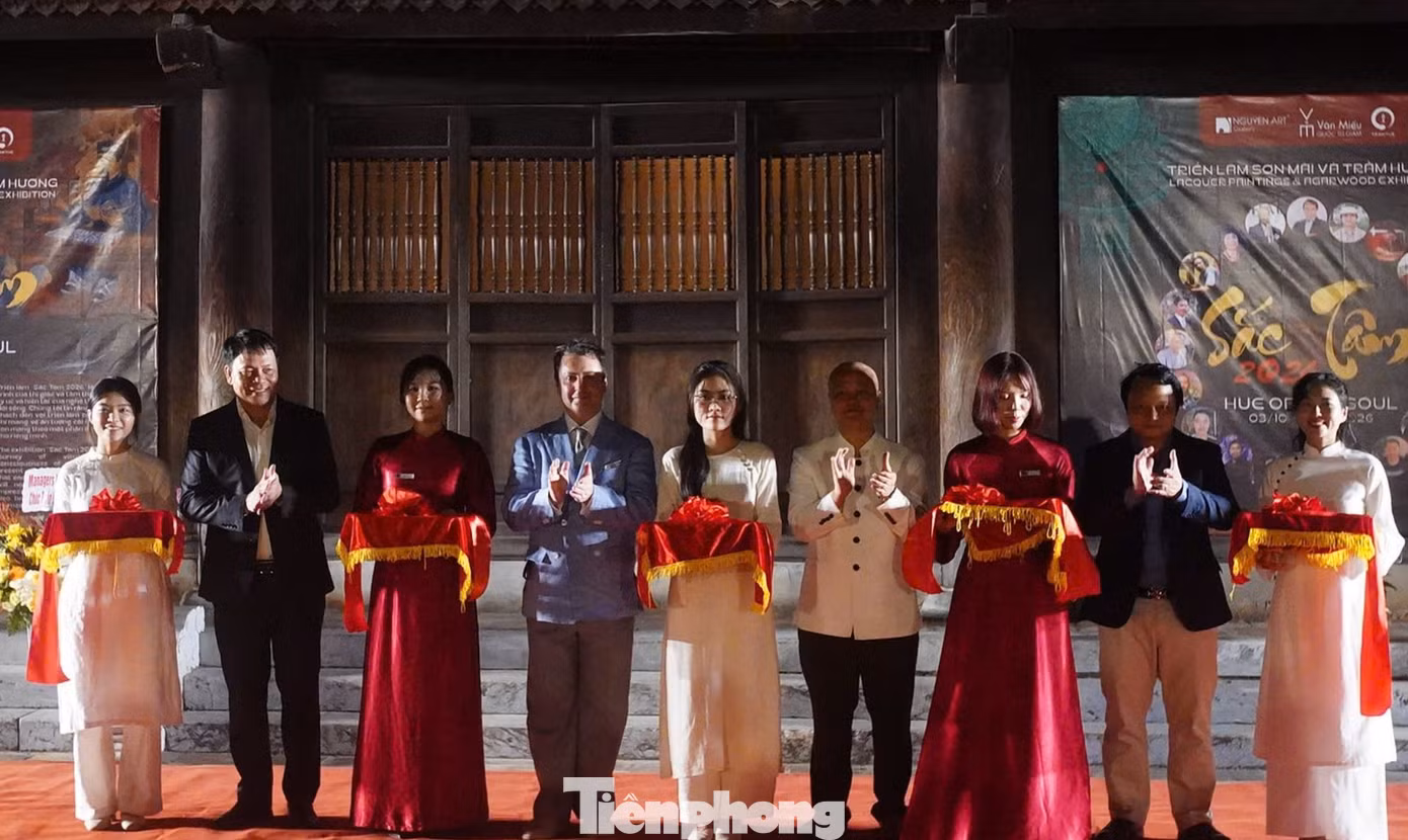tp_v21.jpg