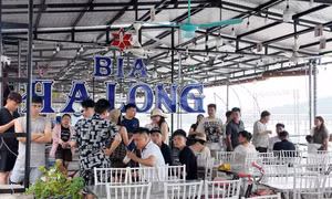 Bão sắp đổ bộ, gần 6.000 du khách đang ở các đảo Quảng Ninh 