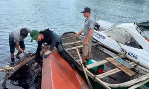 Tìm thấy nạn nhân cuối cùng vụ lật tàu trên biển Vân Đồn