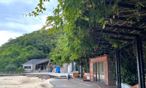 Chỉnh trang nhiều điểm du lịch vịnh Hạ Long 