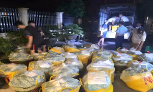 Liên tiếp phát hiện hàng giả, hàng lậu tại vùng biên Móng Cái
