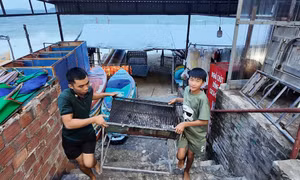 Người dân Cô Tô tất bật chạy bão