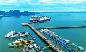Quảng Ninh lại tính đấu thầu khai thác vịnh Hạ Long