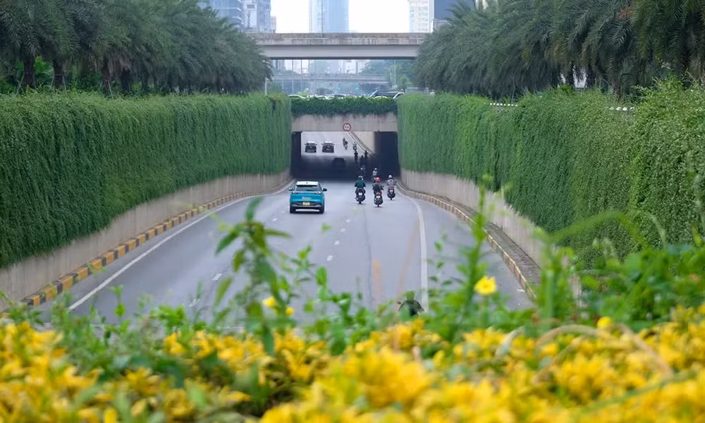 Hà Nội thí điểm phủ xanh trụ cầu đường sắt, hầm chui và nhà chờ xe buýt