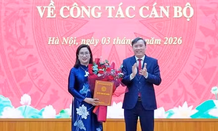 Công bố quyết định của Ban Bí thư về công tác cán bộ