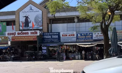 Sau vụ An Cung giả, nhiều nhà thuốc báo hết hàng