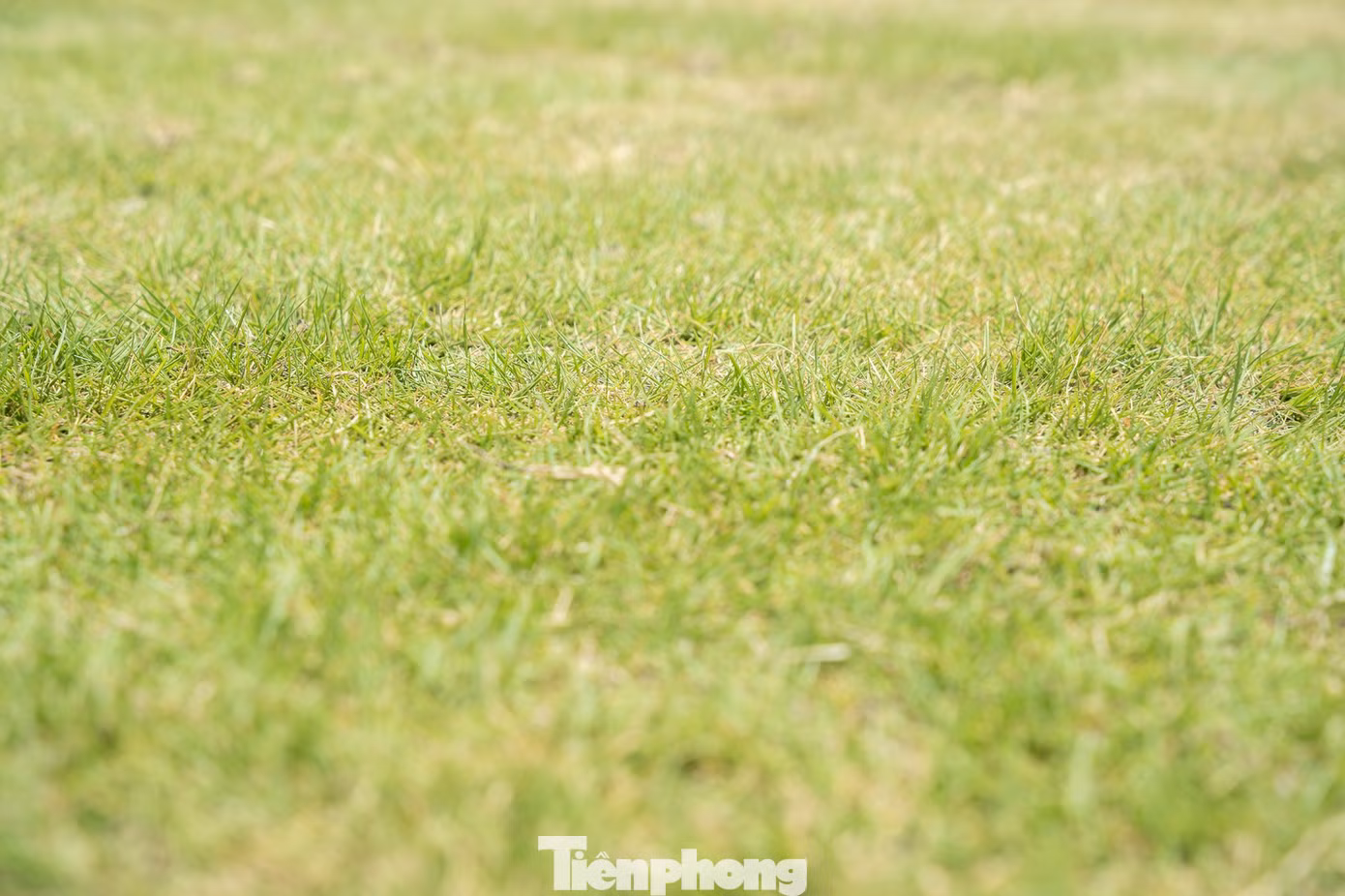 tp-07607.jpg