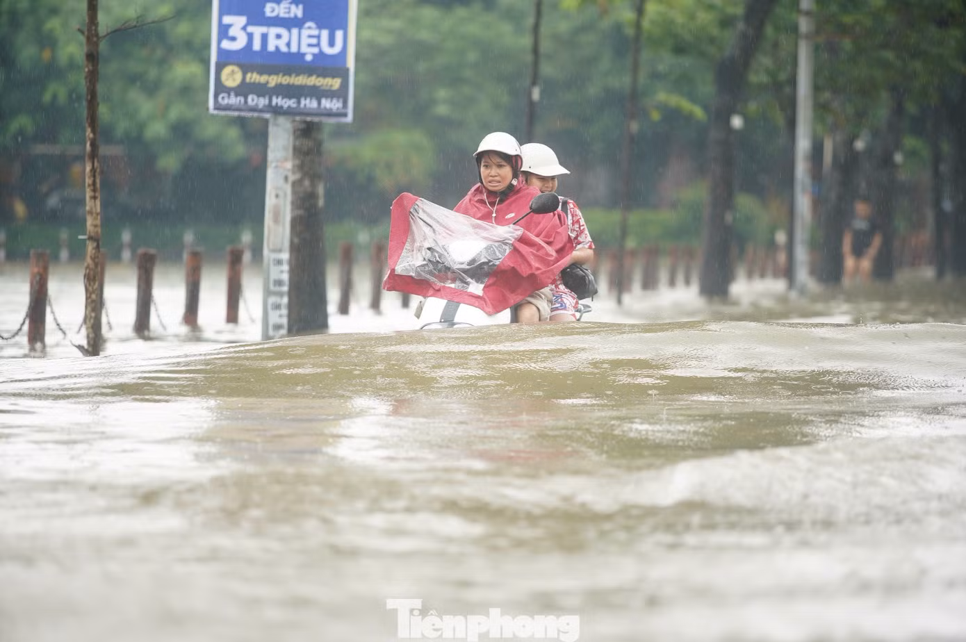 tp_ho-dieu-hoa-ngap-sau-17.jpg