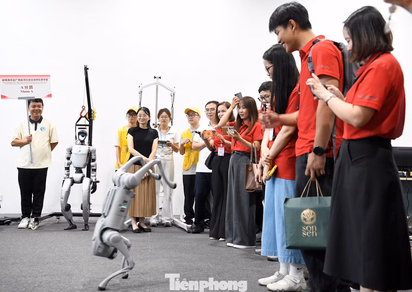 tp-robot.png