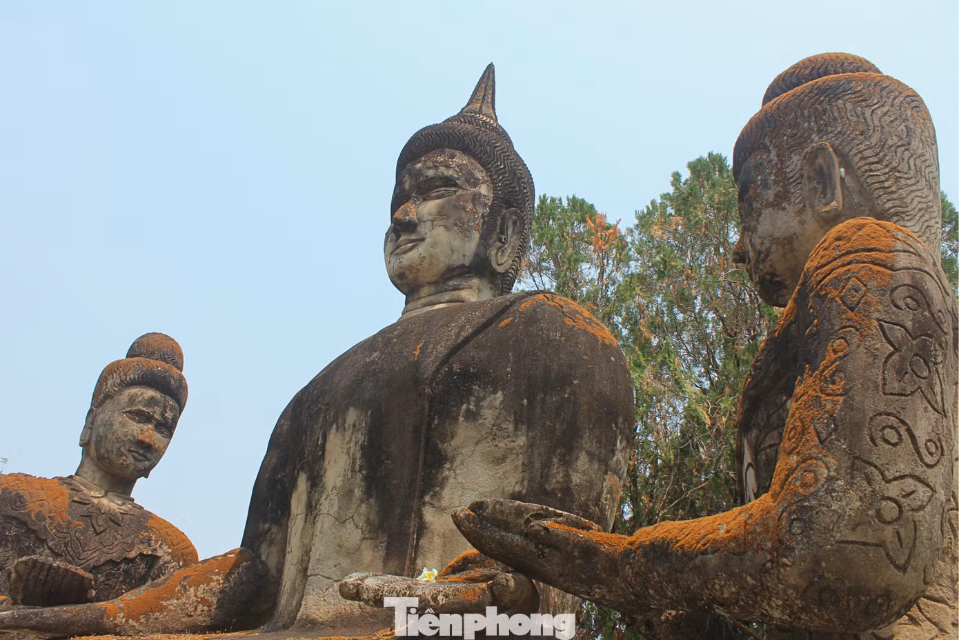 tp-vuon-tuong-phatg-1.png