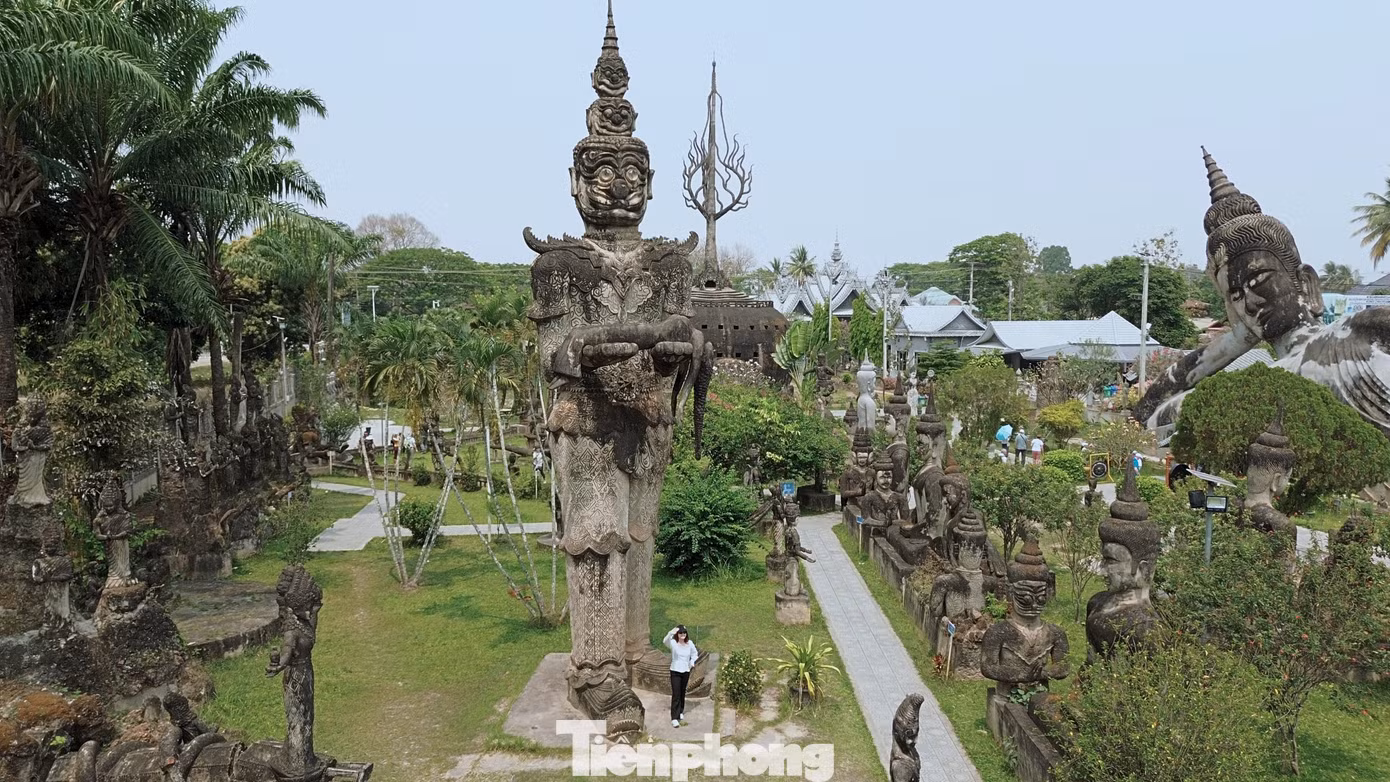 tp-vuon-phat-tai-lao.png