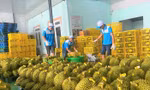 Yêu cầu 'hỏa tốc' thông quan cho nông sản 