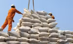 Nhu cầu nhập khẩu gạo từ Indonesia giảm mạnh tác động đáng kể đến xuất khẩu gạo Việt Nam trong thời gian qua.