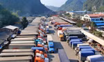 Hàng trăm container nông sản, hàng thực phẩm ùn tắc do chưa có quy định hướng dẫn Nghị định 46.