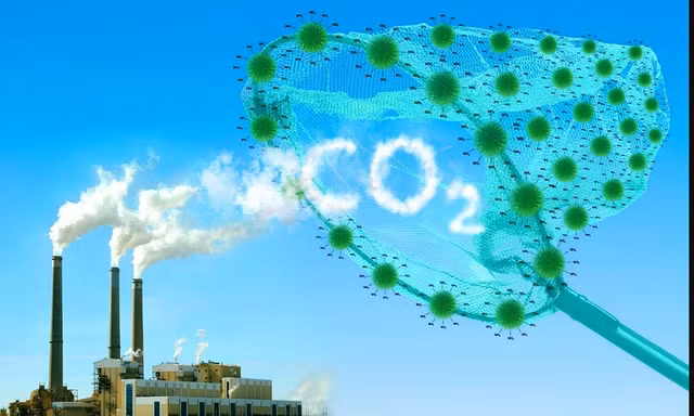 Hà Nội: Kiểm soát phát thải khí nhà kính, tham gia thị trường carbon