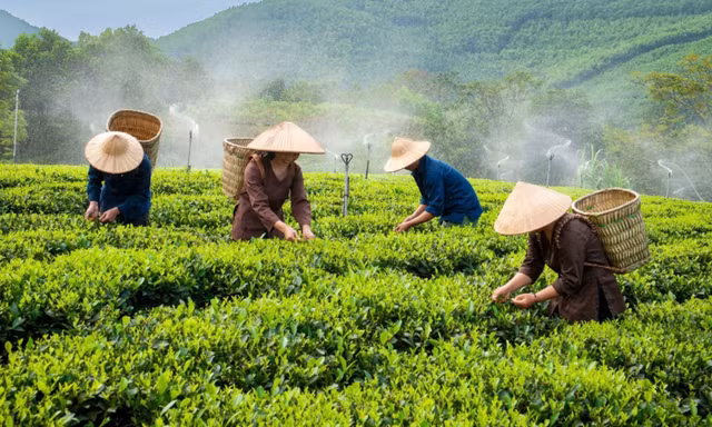 Thêm cuộc thi ảnh phải thu hồi giải nhất 