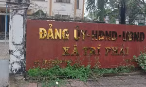Cán bộ xã ở Cà Mau bị khởi tố vẫn được bố trí làm việc khi sáp nhập xã