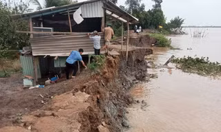 Hàng chục mét đê bao cồn Thanh Long liên tục sạt lở, gây nguy hiểm cho người dân và yêu cầu các giải pháp khẩn cấp tại Vĩnh Long.