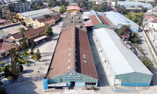 Công ty Đồ hộp Hạ Long tái khởi động sản xuất, siết chặt kiểm soát an toàn thực phẩm