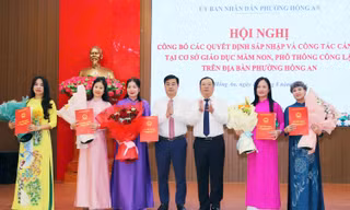 Hải Phòng đồng loạt sáp nhập trường học các cấp