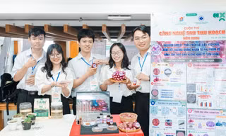 Đại học ở Hàn Quốc đào tạo cử nhân du lịch theo mô hình 4+0