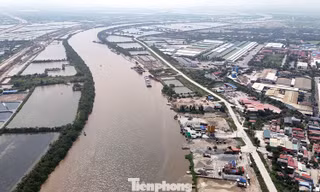 Hải Phòng đấu giá 6 mỏ đất, cát làm vật liệu san lấp