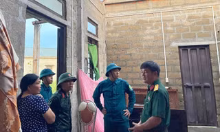 Giông lốc quật ngã hàng trăm cây xanh, tốc mái 18 căn nhà ở Huế