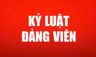Bộ Chính trị, Ban Bí thư xem xét, thi hành kỷ luật tổ chức đảng, đảng viên vi phạm