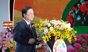 Làng hoa Sa Đéc rực rỡ chuẩn bị Festival Hoa – Kiểng