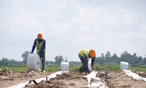 Xuyên lễ bám công trường dự án cao tốc miền Tây